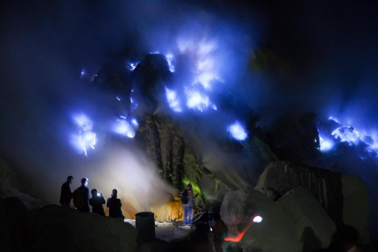 Dannu'S Homestay & Ijen, Bromo, Meru Betiri Sukomade Tours Banyuwangi  Kültér fotó