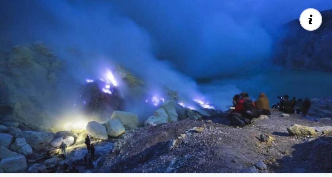 Dannu'S Homestay & Ijen, Bromo, Meru Betiri Sukomade Tours Banyuwangi  Kültér fotó