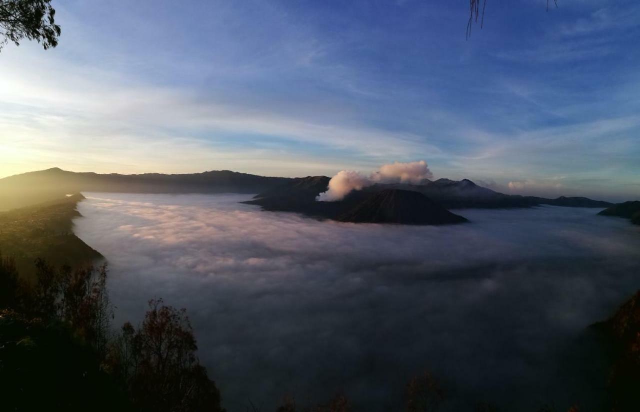 Dannu'S Homestay & Ijen, Bromo, Meru Betiri Sukomade Tours Banyuwangi  Kültér fotó